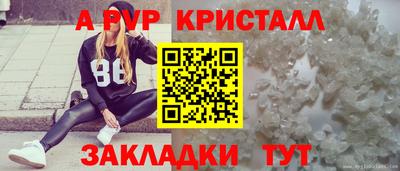 PSILOCYBIN Гагарин