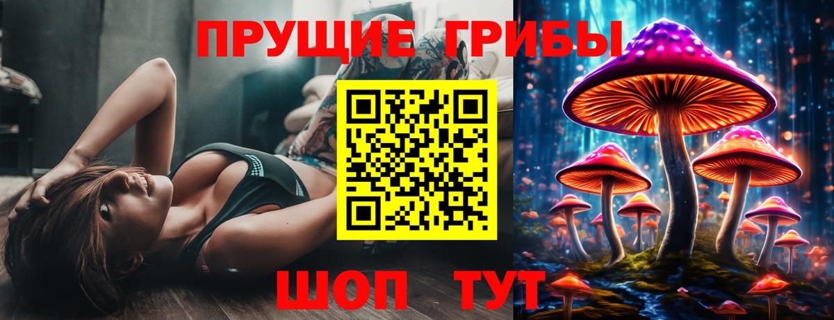 Назарово  Псилоцибиновые грибы Cubensis  Вход с VPN 