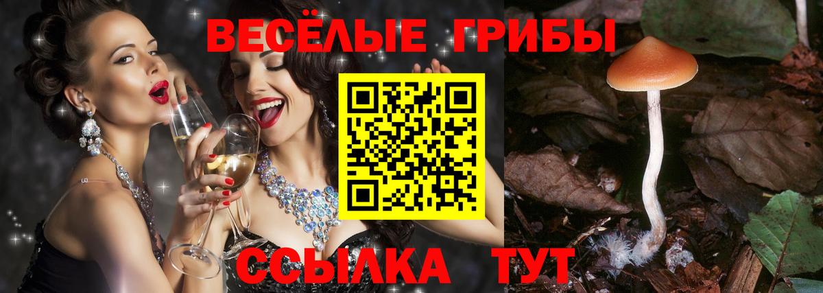 Псилоцибиновые грибы MAGIC MUSHROOMS Назарово